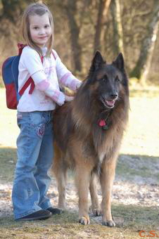 Canis mit Freundin